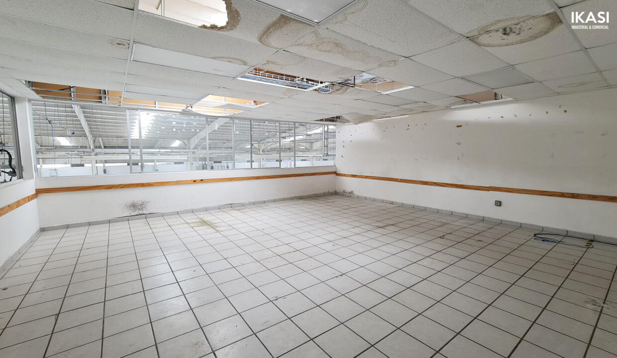 industrial_plant_warehouse_industrial-building_industrial_realtor_acambaro_japanese_automotive_company_50
