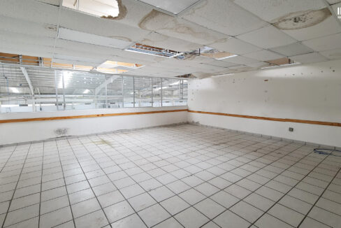 industrial_plant_warehouse_industrial-building_industrial_realtor_acambaro_japanese_automotive_company_50